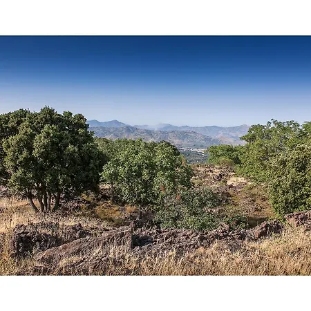 Ecoagriturismo Notti Stellate Etna Mare Çiftlik konaklama