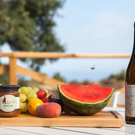 Ecoagriturismo Notti Stellate Etna Mare Alloggio per agriturismo