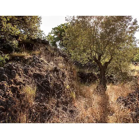 Séjour à la ferme Ecoagriturismo Notti Stellate Etna Mare Mascali