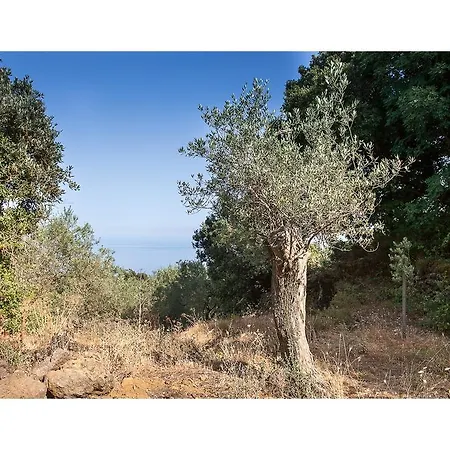 Ecoagriturismo Notti Stellate Etna Mare * Mascali