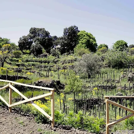 Alloggio per agriturismo Ecoagriturismo Notti Stellate Etna Mare Mascali