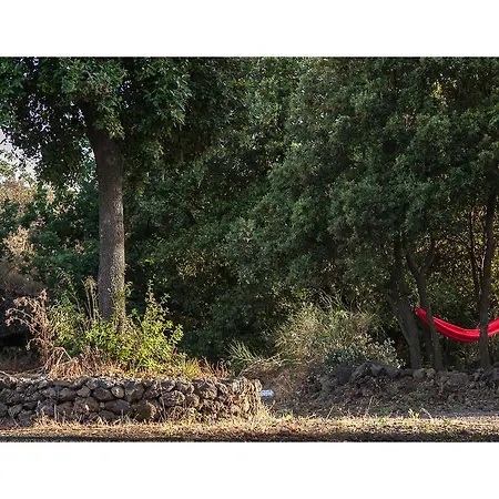 Alloggio per agriturismo Ecoagriturismo Notti Stellate Etna Mare